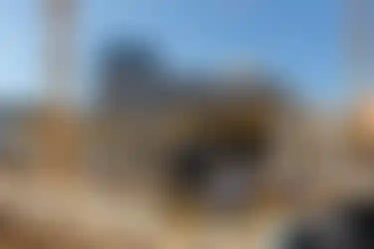 Изображение галереи