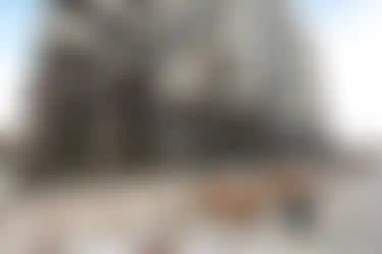 Изображение галереи