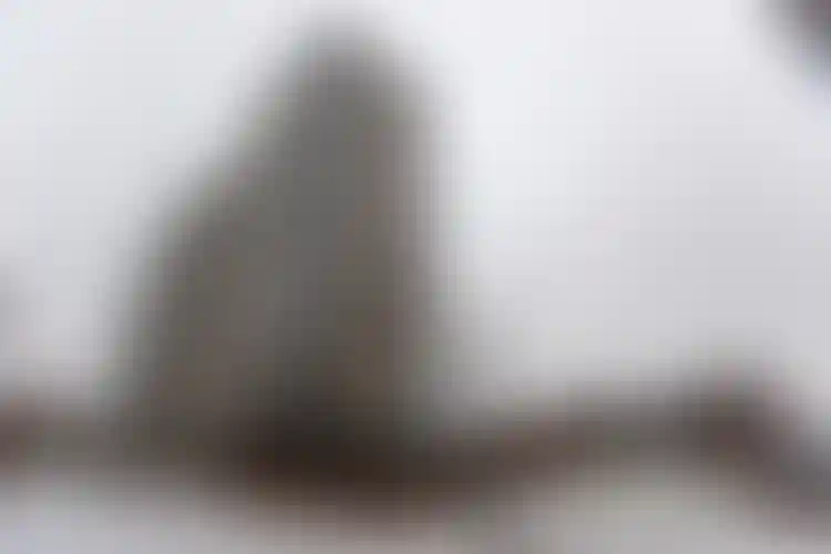 Изображение галереи