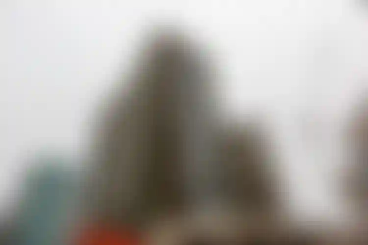 Изображение галереи