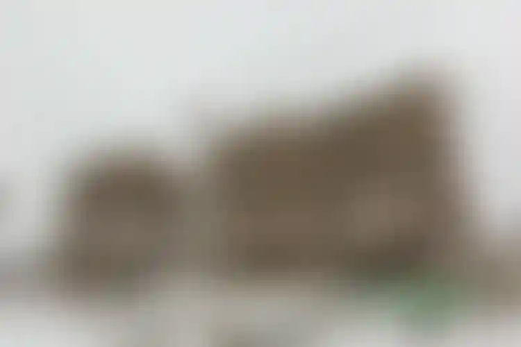 Изображение галереи