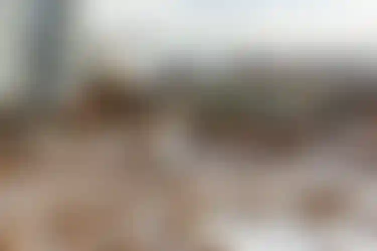 Изображение галереи