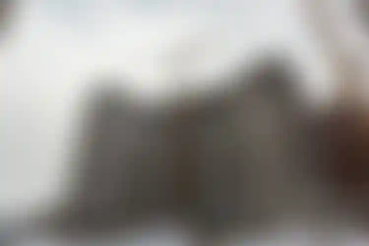 Изображение галереи