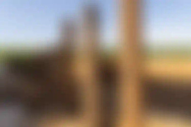 Изображение галереи