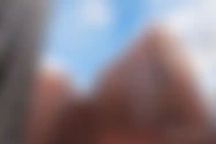 Изображение галереи