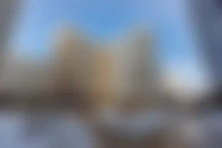 Изображение галереи