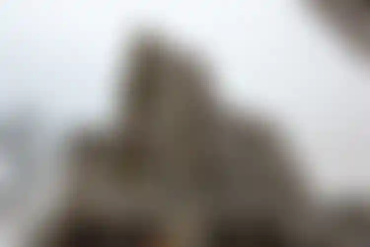 Изображение галереи