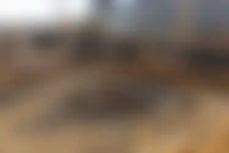 Изображение галереи