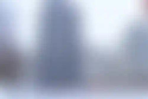 Изображение галереи