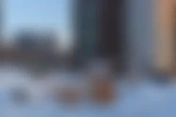 Изображение галереи