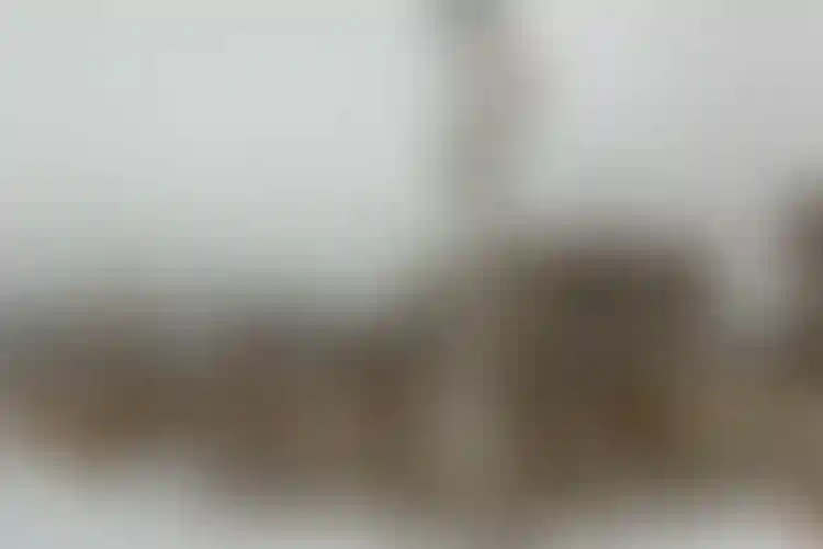 Изображение галереи