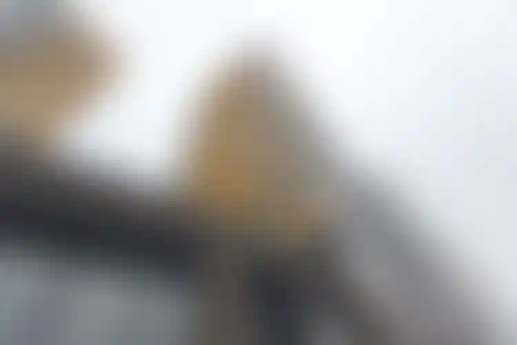 Изображение галереи