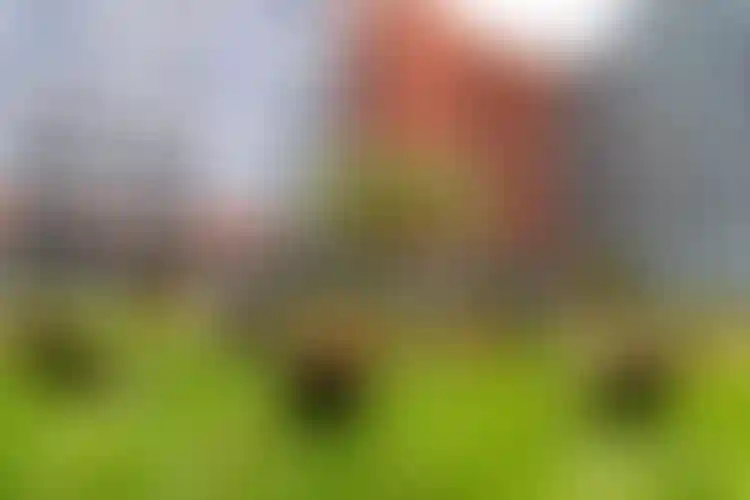 Изображение галереи