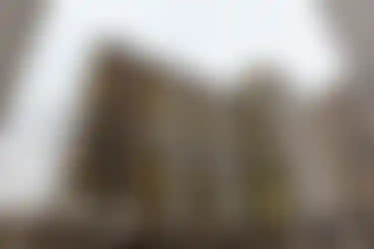 Изображение галереи