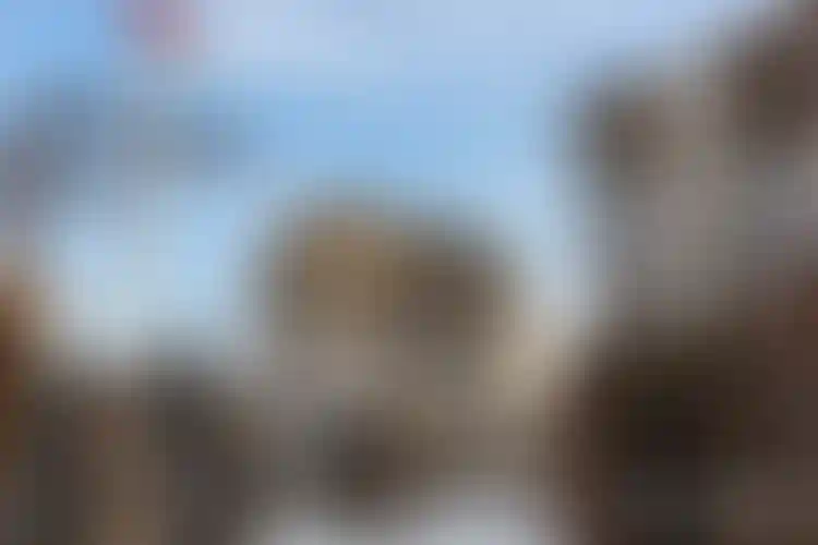 Изображение галереи