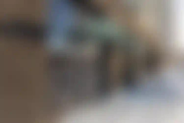 Изображение галереи