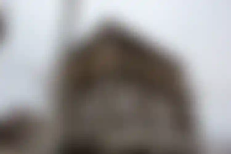 Изображение галереи