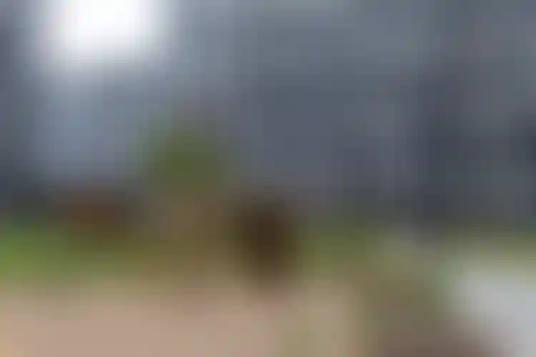 Изображение галереи