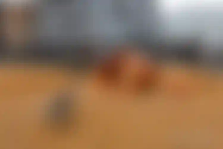 Изображение галереи