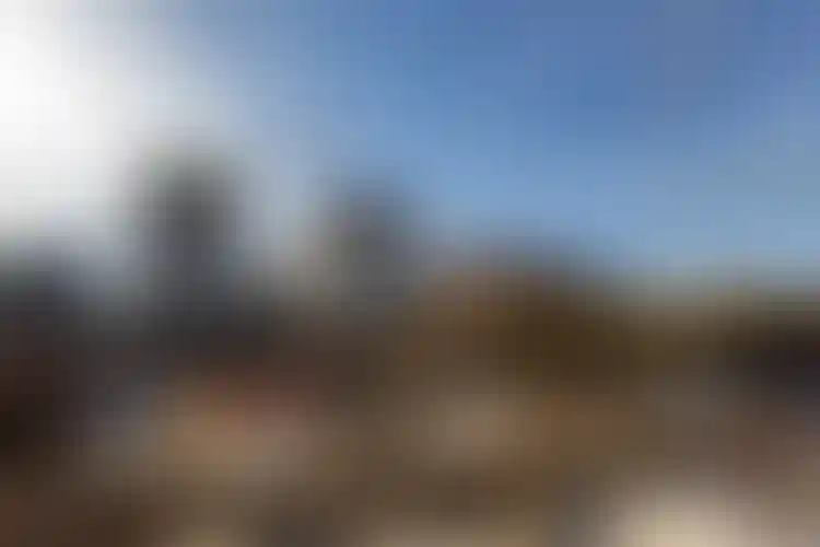 Изображение галереи