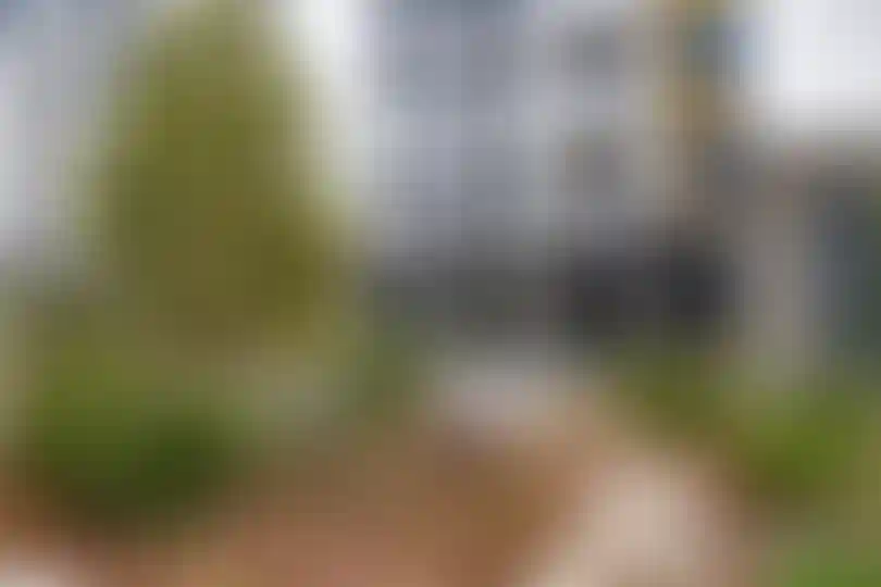 Изображение галереи