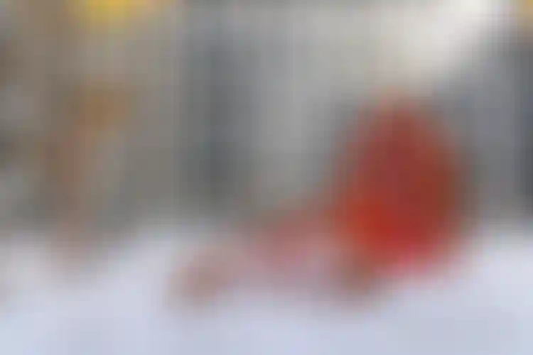 Изображение галереи