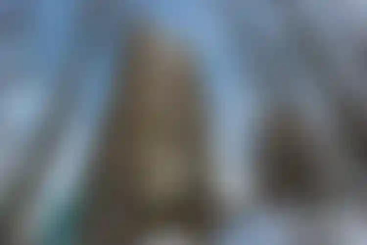 Изображение галереи