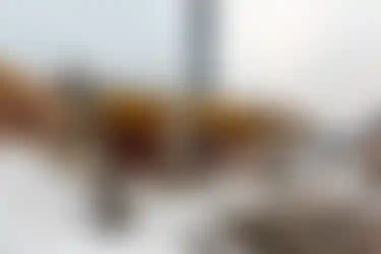 Изображение галереи