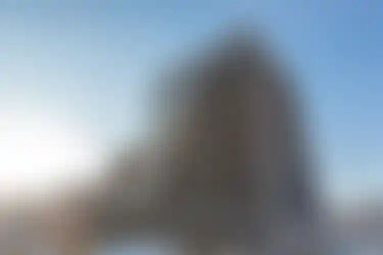 Изображение галереи