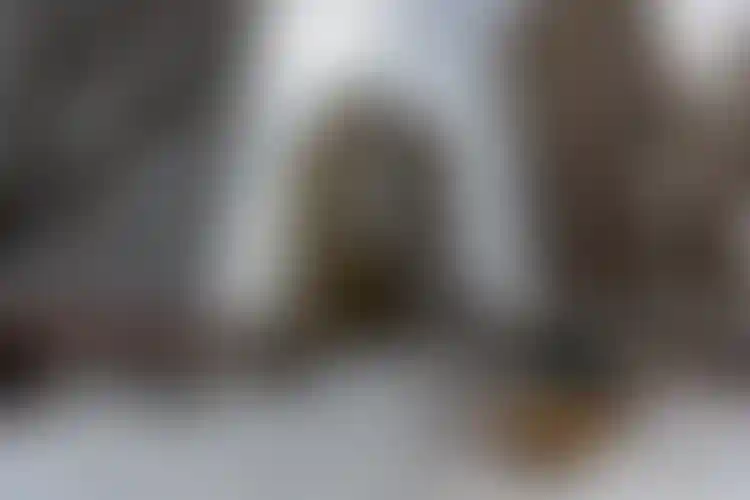 Изображение галереи