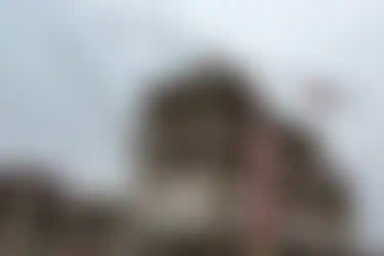 Изображение галереи