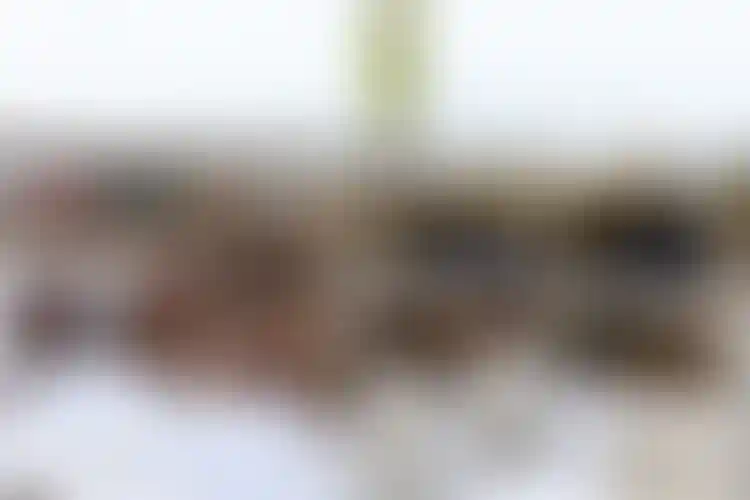 Изображение галереи