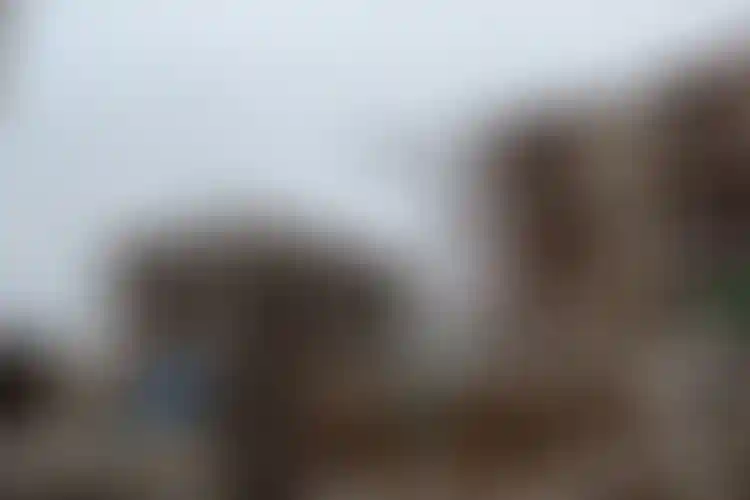 Изображение галереи