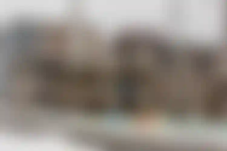 Изображение галереи