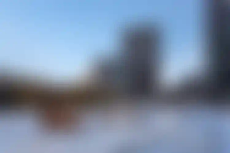 Изображение галереи