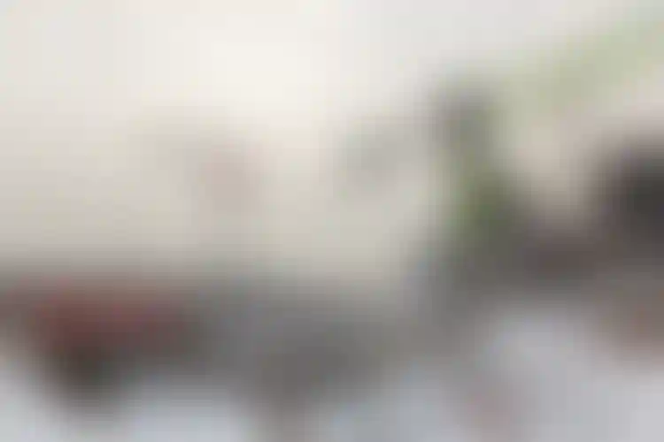 Изображение галереи