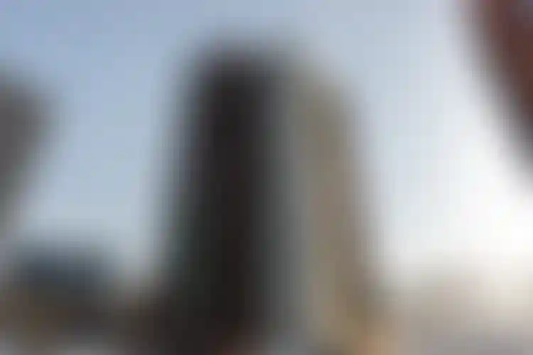 Изображение галереи