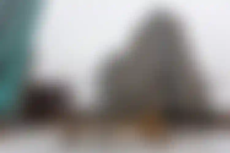 Изображение галереи