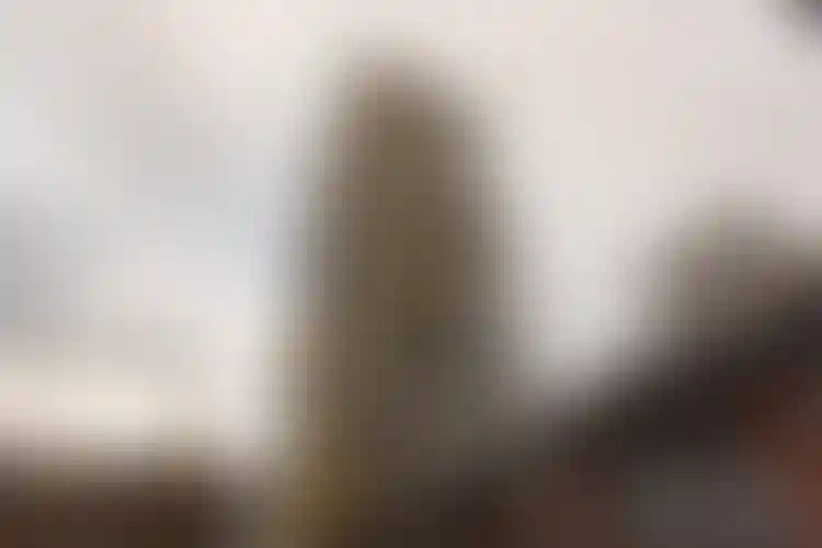 Изображение галереи