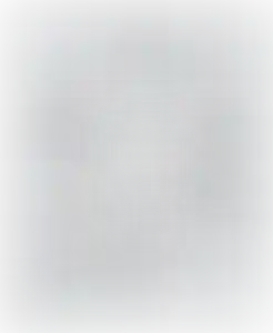 Изображение карточки лота