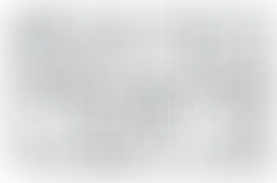 Изображение карточки лота