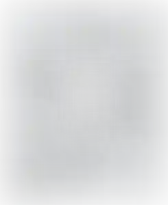 Изображение карточки лота