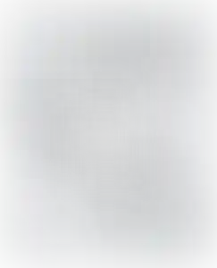 Изображение карточки лота