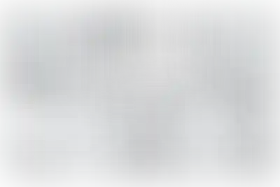 Изображение карточки лота