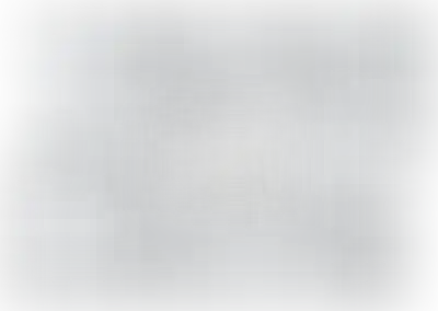 Изображение карточки лота