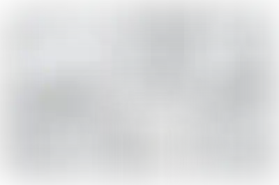 Изображение карточки лота