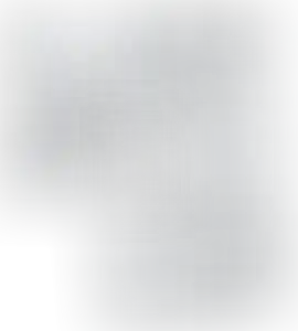 Изображение карточки лота