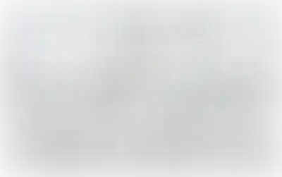 Изображение карточки лота