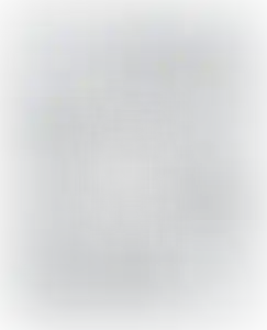 Изображение карточки лота