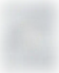 Изображение карточки лота